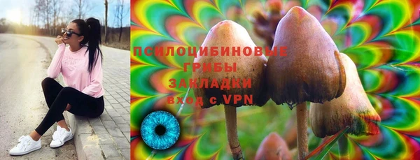стаф Алексин